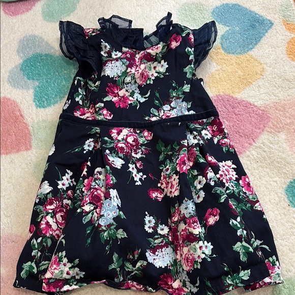 Janie and Jack floral dress - Picture 1 of 3
